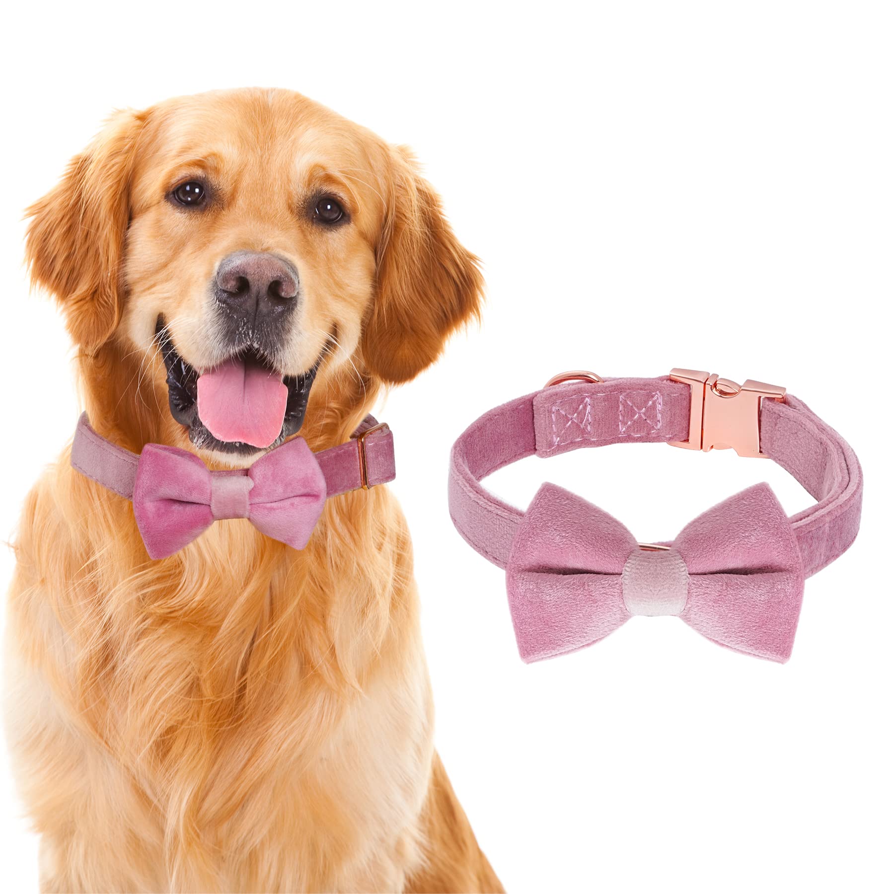 Amazon | choyaxo ベルベット 犬用首輪 リボン付き 調節可能 蝶